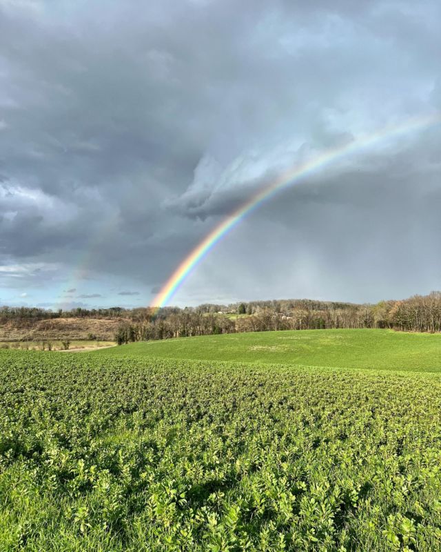 Juignac
17.03.2023
#Juignac #Charente 
#champ #campagne #arcenciel #rainbow #ciel #sky